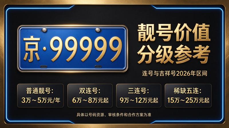 闲置车牌指标服务展示